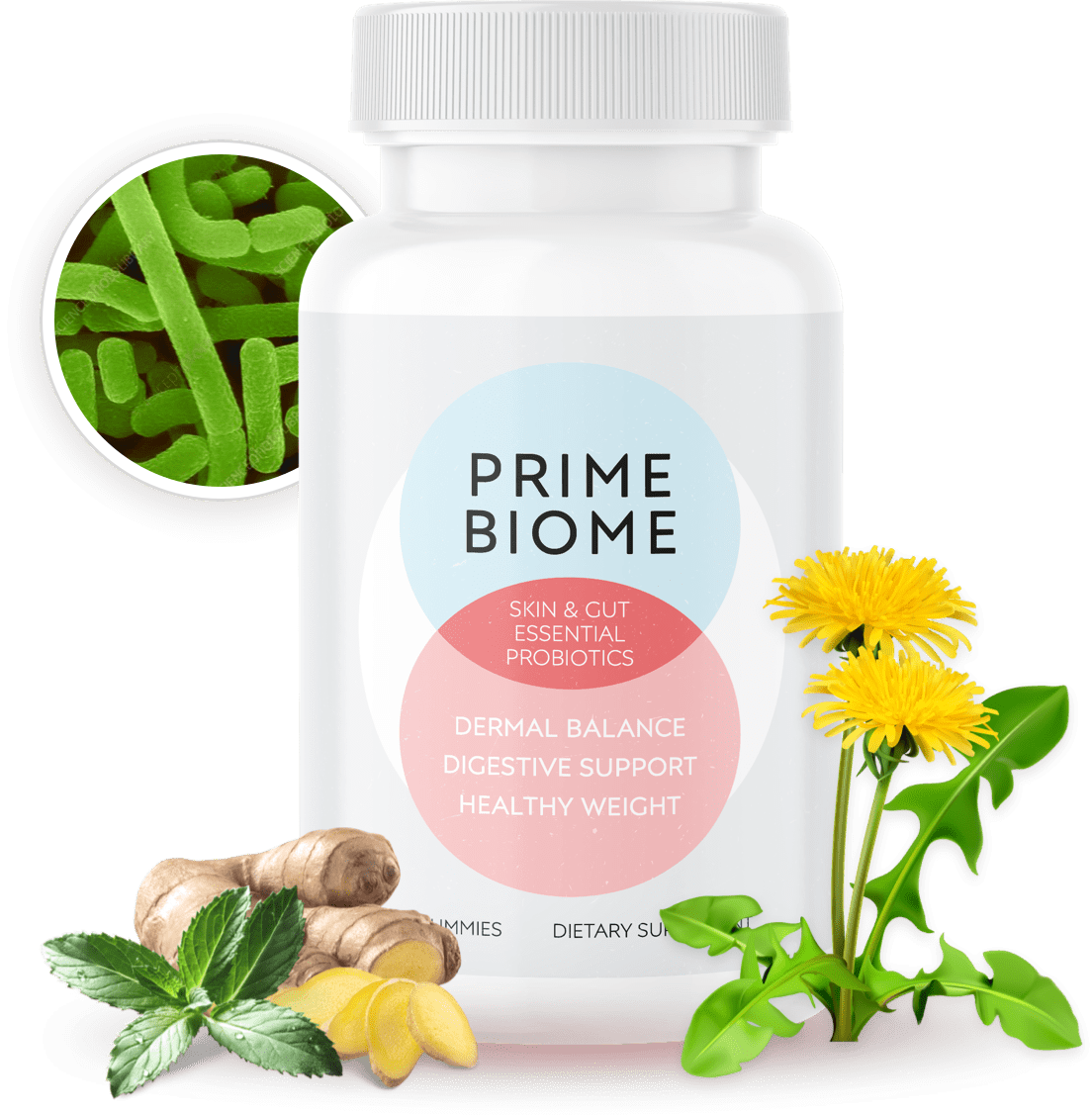 PrimeBiome probiotic gummy supplement bottle showing gut and skin support formula